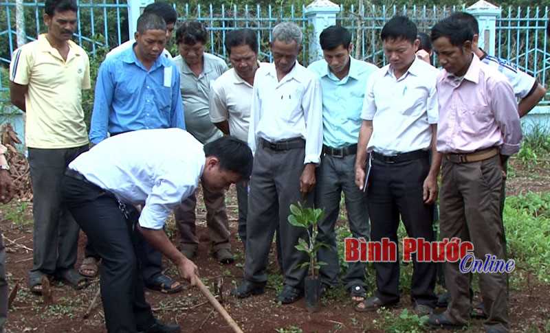 Trên 80 học viên được tập huấn kỹ thuật trồng điều ghép