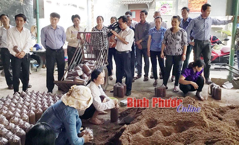 Đồng Phú nâng cao chất lượng nguồn nhân lực, giải quyết việc làm