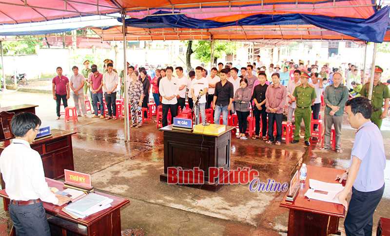 Cái giá của việc đánh bạc, tổ chức đánh bạc