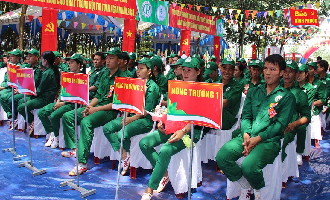 [Video] Hội thi "Bàn tay vàng" Công ty TNHH MTV cao su Phú Riềng