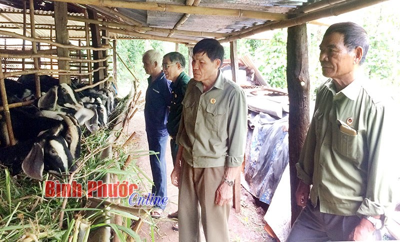 Góp sức đổi mới nông thôn