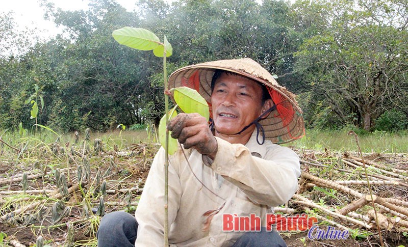 Mưu sinh trên bãi bồi
