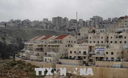 Palestine chỉ trích Tổng thống Trump muốn loại Jerusalem khỏi hòa đàm