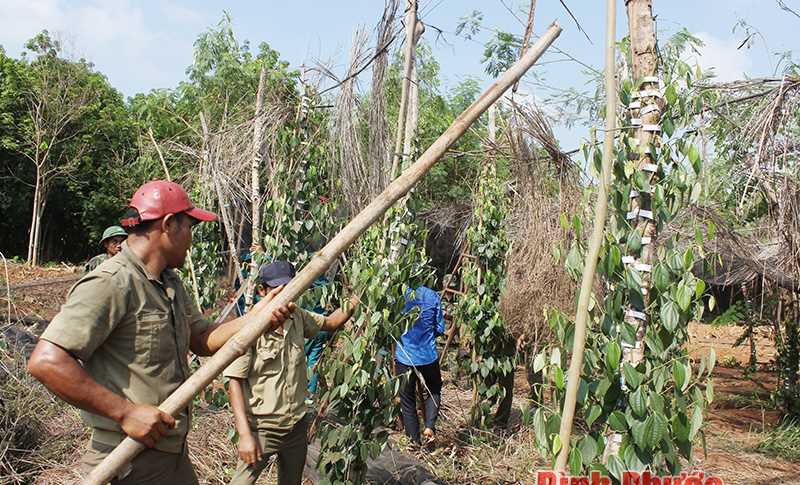 Lộc Ninh thiệt hại ước hơn 20 tỷ đồng do thiên tai