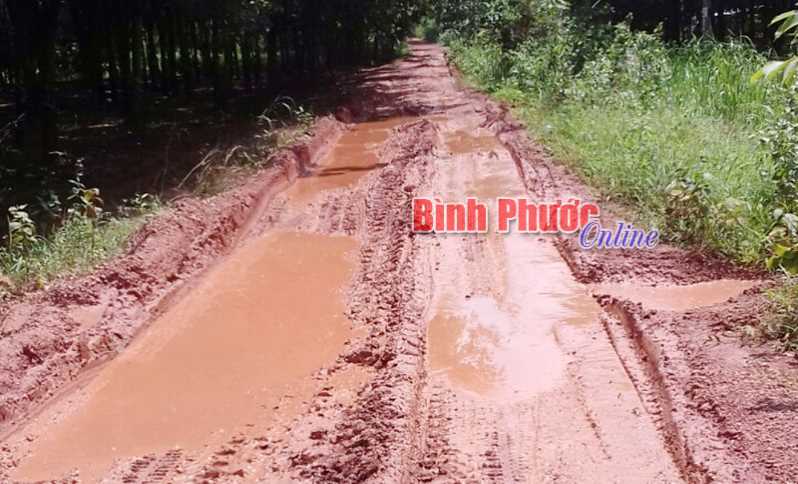 Mong sớm làm mới đường qua 2 ấp Quân Y và Trảng Tranh