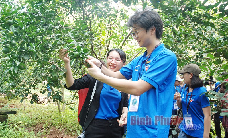 Một ngày làm nông dân của thanh niên Nhật Bản