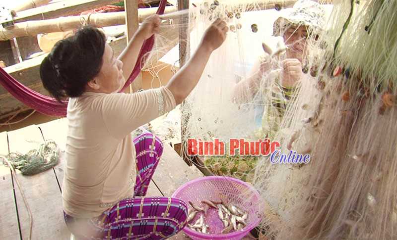 Người nuôi cá lồng gặp khó vì giá rớt