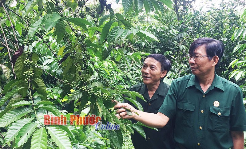 Niềm vui được “vác tù và”