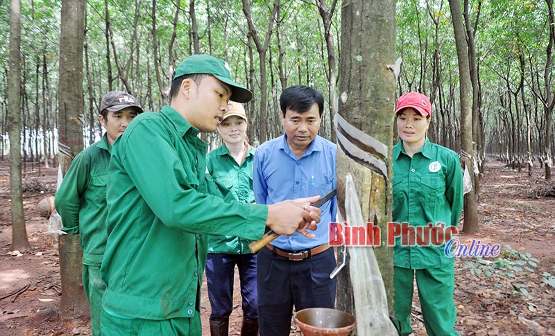 Nơi hội tụ truyền thống và sự đam mê