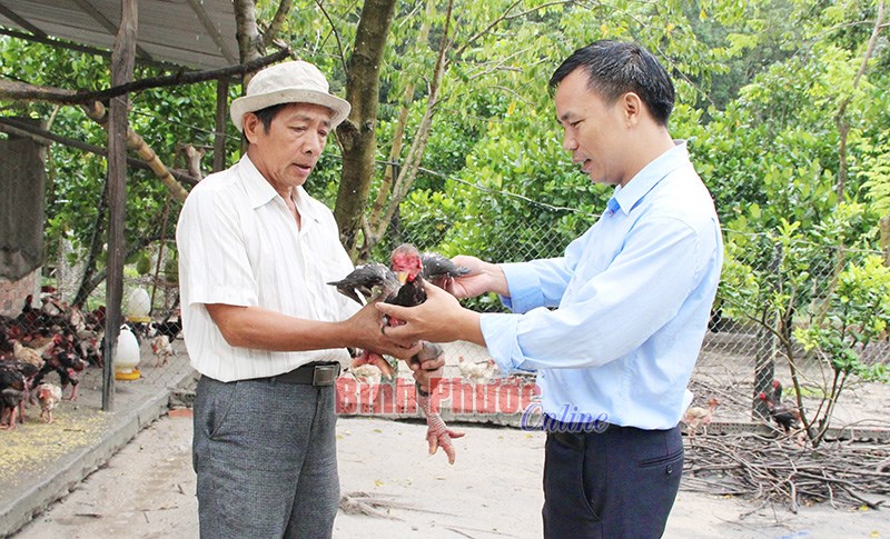 Nông dân thi đua thành... triệu phú