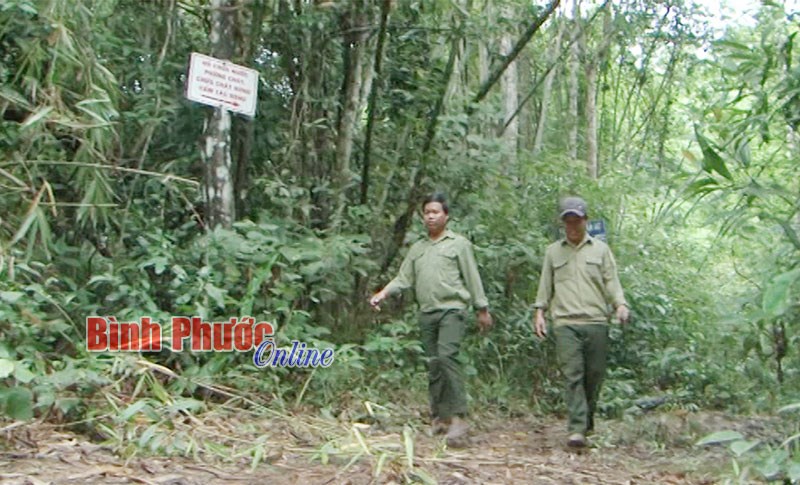 Ban quản lý rừng phòng hộ Bù Đốp: Nhiều biện pháp giữ rừng hiệu quả