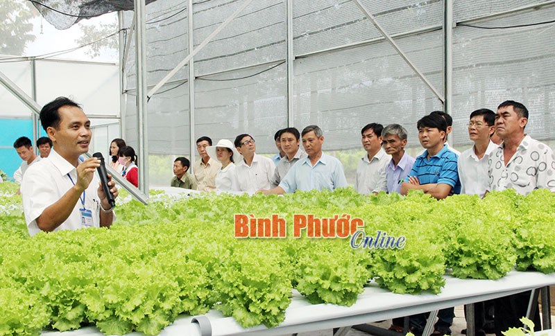 “Tam nông” đổi mới