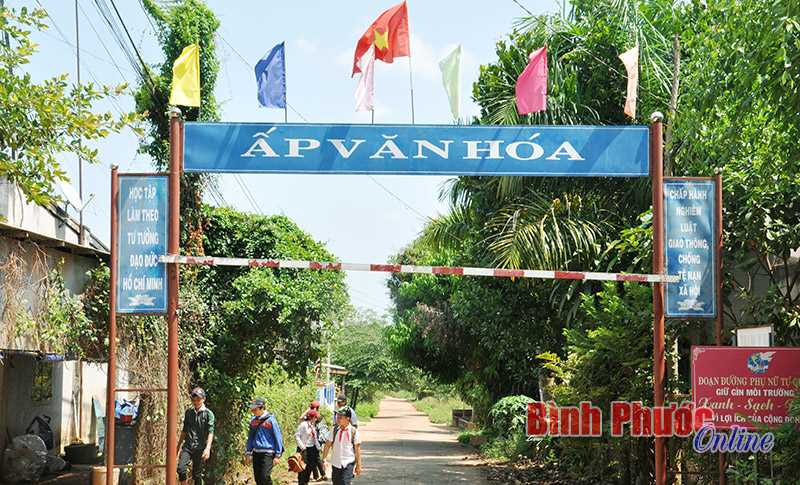 Tiêu chí xây dựng NTM bình quân của toàn tỉnh đạt 13,73