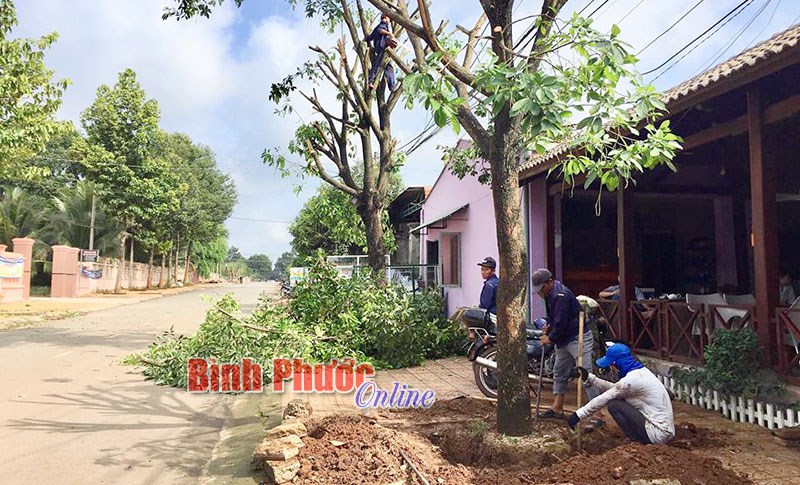 Tân Phú hướng tới đô thị loại IV