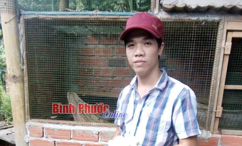 Thu nhập khá từ nuôi rắn