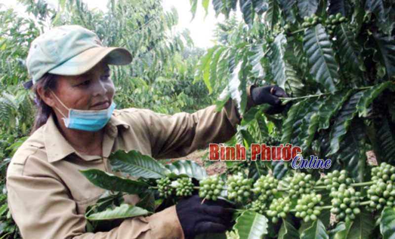 Tiếp sức thoát nghèo từ vốn xoay vòng