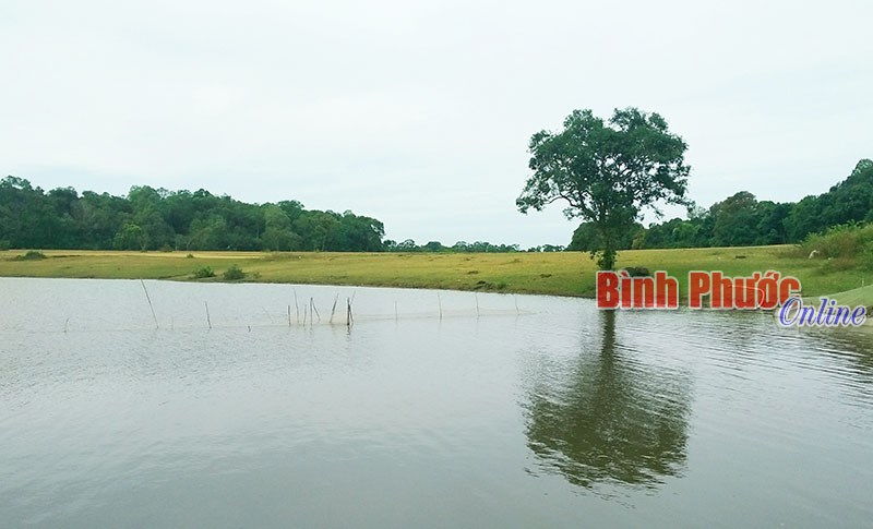 Để du lịch Bù Đăng “cất cánh”