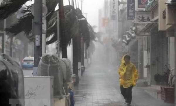 Bão Trami tiến gần đất liền Nhật Bản, hơn 900 chuyến bay bị hủy