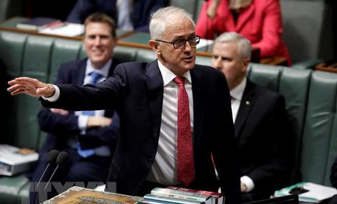 Australia: Thủ tướng bị hạ bệ Turnbull sẽ rời quốc hội trong tuần này