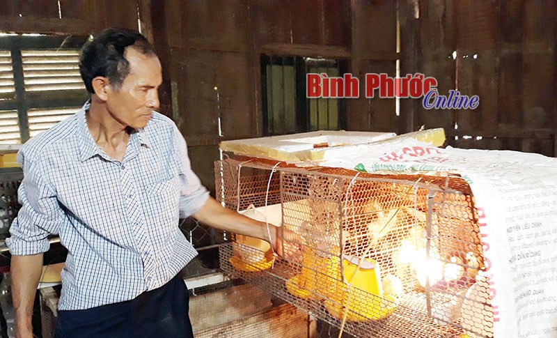 Cơ hội cho nhà nông ít đất sản xuất