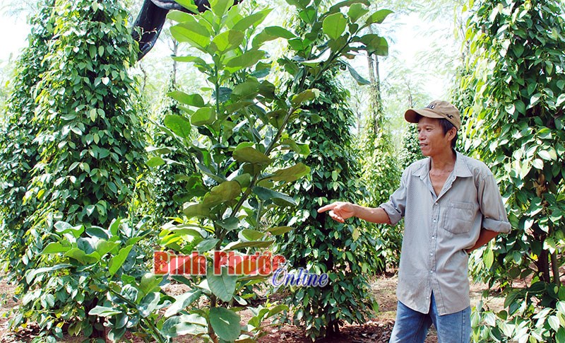 Nhà nông thông minh