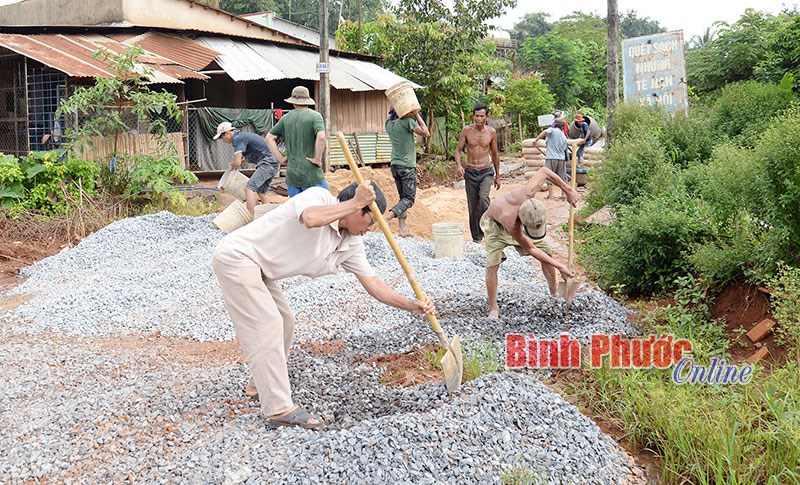 Phát huy vai trò của mặt trận trong xây dựng nông thôn mới