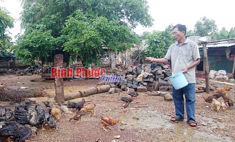 CCB giúp nhau giảm nghèo, phát triển kinh tế