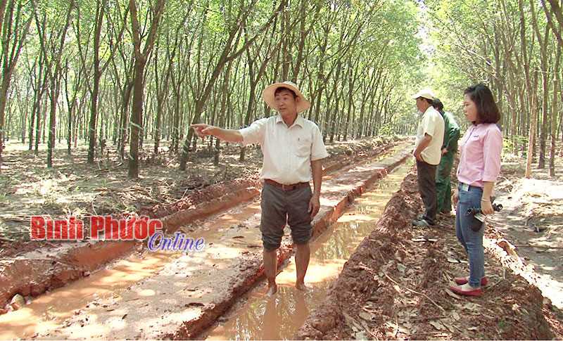 Sớm tu sửa đường vào tổ 11, ấp Đông Hồ