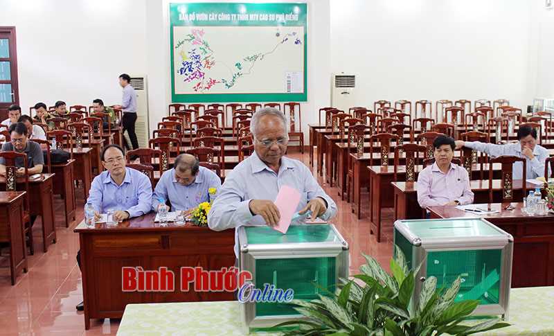 Cao su Phú Riềng đấu giá 97,02 ha cây cao su thanh lý