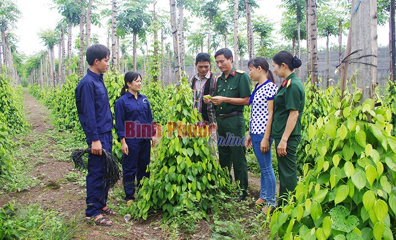 20 năm đo&agrave;n kết, vượt kh&oacute;, gắn b&oacute; với d&acirc;n