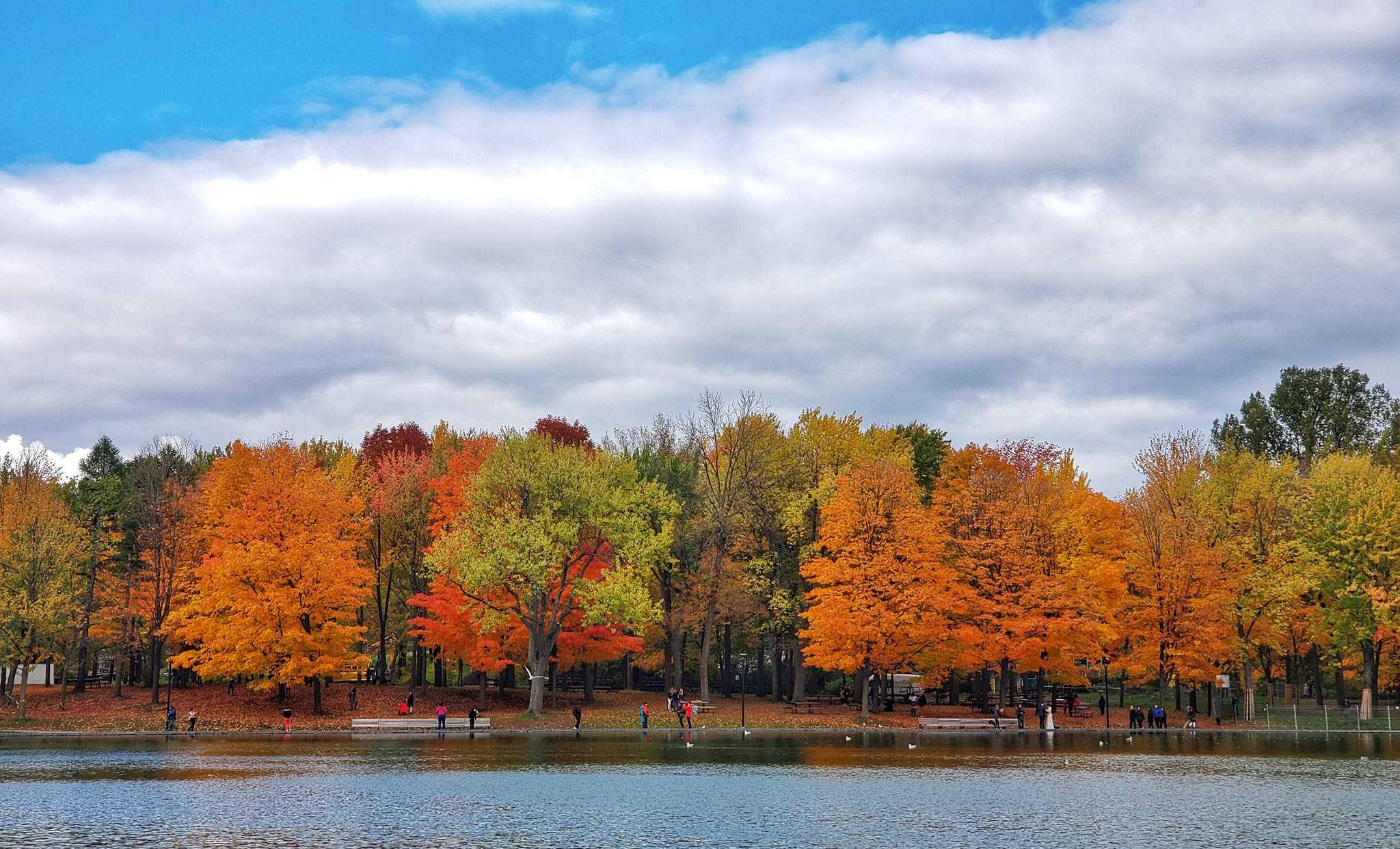Say đắm vẻ đẹp "Paris giữa vùng trời Bắc Mỹ" mùa thu thay lá
