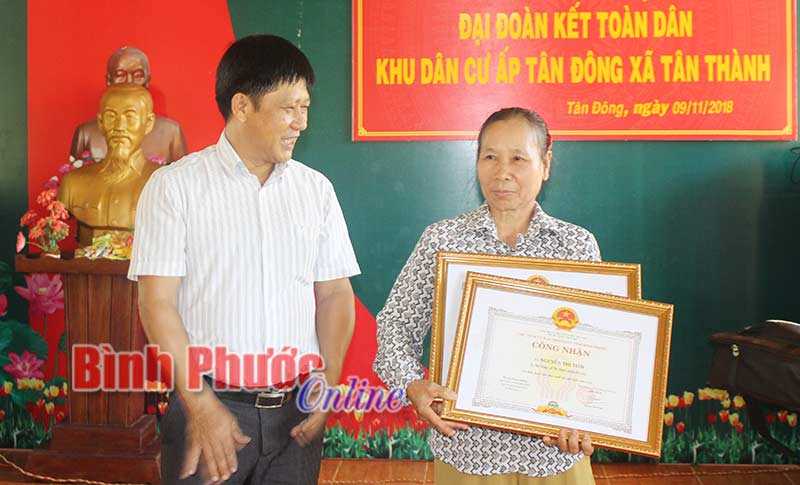 “Hoa giữa đời thường”