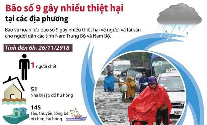[Infographics] Bão số 9 gây nhiều thiệt hại tại các địa phương