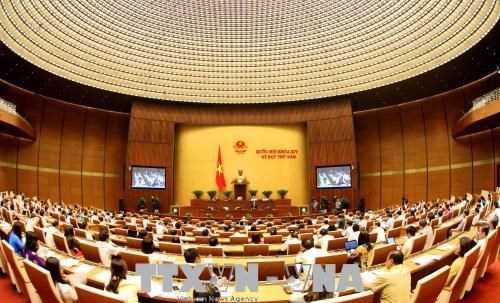 Kh&ocirc;ng thể xuy&ecirc;n tạc ph&aacute;p luật của Nh&agrave; nước Việt Nam v&igrave; sự ph&aacute;t triển của đất nước v&agrave; quyền con người