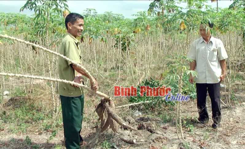 Lộc Ninh tăng cường giám sát chính sách đối với đồng bào DTTS