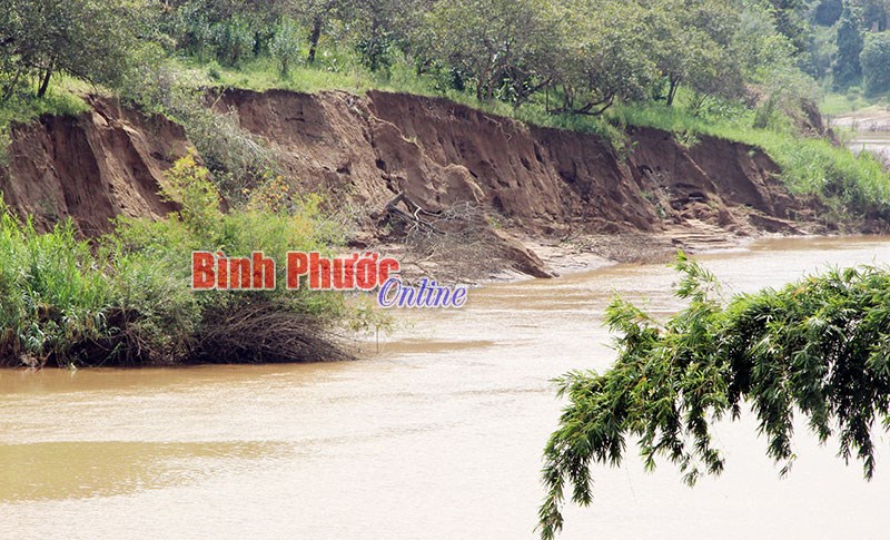 Giải ph&aacute;p cho những kiến nghị sau gi&aacute;m s&aacute;t được thực thi