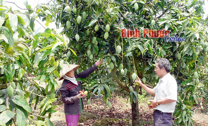 Thay đổi tư duy sản xuất từ một chương trình