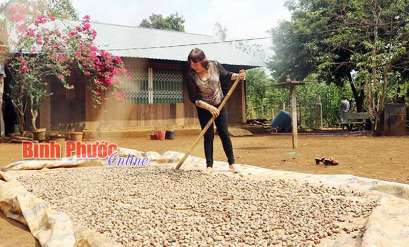 Nữ giám đốc hết lòng vì xã viên