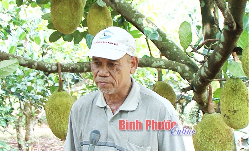 Những n&ocirc;ng d&acirc;n S&rsquo;ti&ecirc;ng l&agrave;m kinh tế giỏi