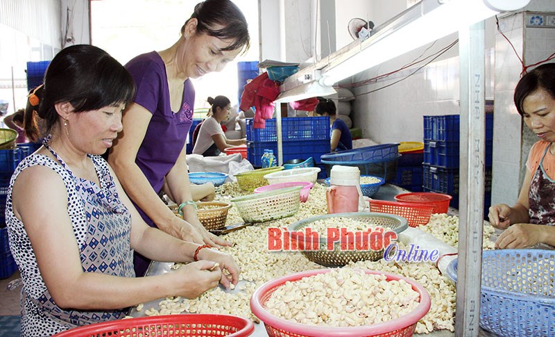 Xây dựng chỉ dẫn địa lý cho nông sản