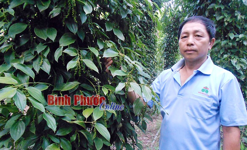 Đất không phụ công người