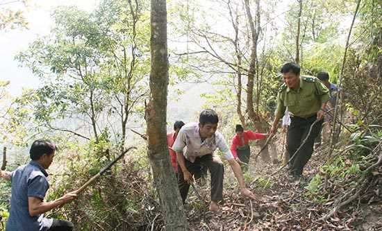 Tiếp tục thực hiện công tác phòng cháy chữa cháy rừng