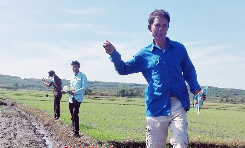 Hớn Quản ra quân diệt ốc bươu vàng