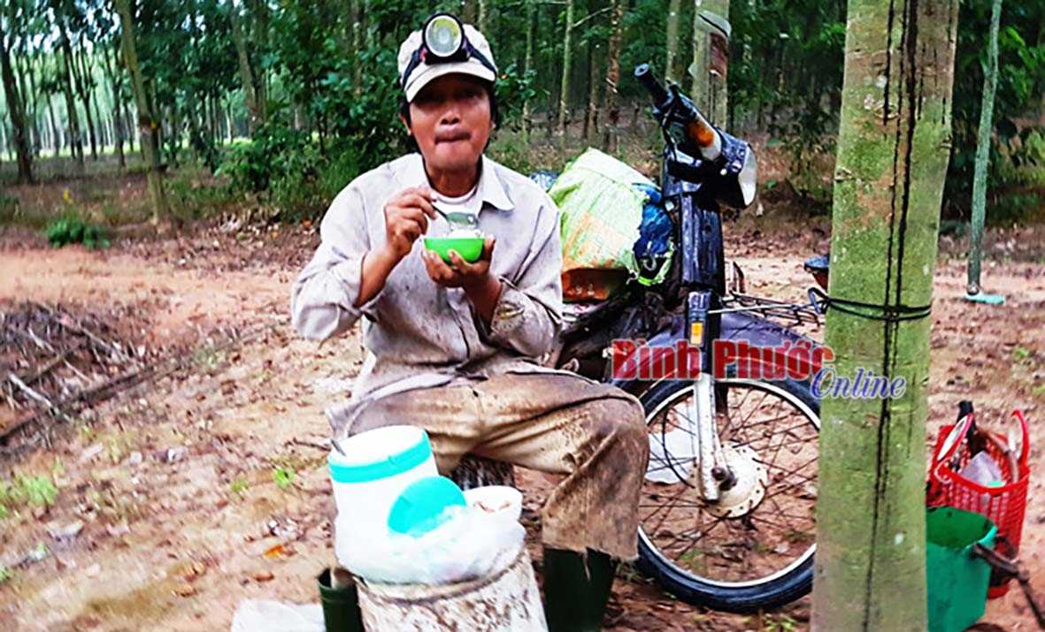 Mưu sinh từ nghề cạo “vàng trắng”