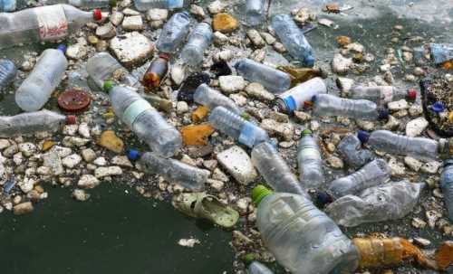 Thực hiện phong trào “Chống rác thải nhựa”