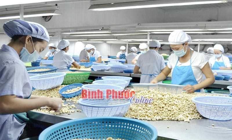 100% đề tài khoa học được đưa vào ứng dụng