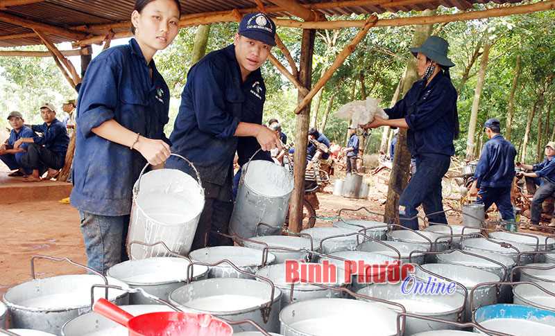 Những nội dung phải c&oacute; trong HĐLĐ