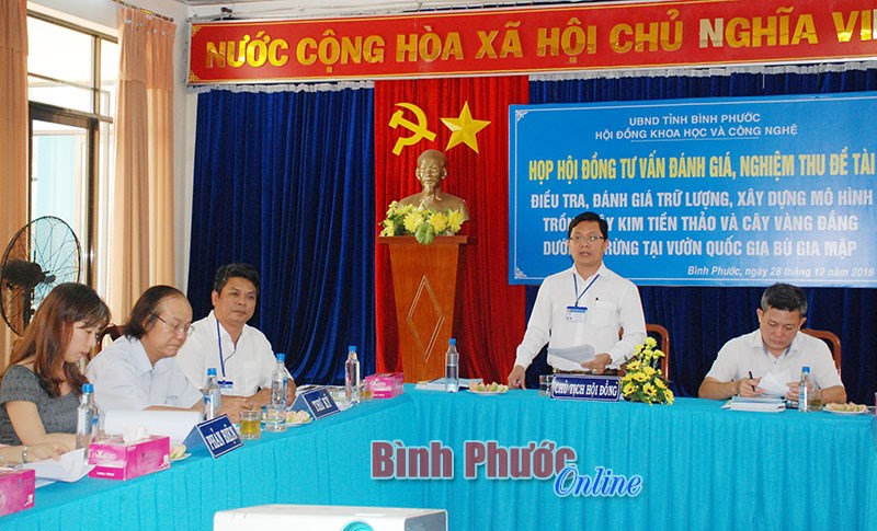 Nghiệm thu đề tài nghiên cứu về kim tiền thảo và vàng đắng tại Vườn quốc gia Bù Gia Mập