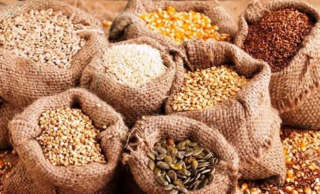 Xuất cấp hơn 1.200 tấn hạt giống hỗ trợ 3 tỉnh thiệt hại do thiên tai