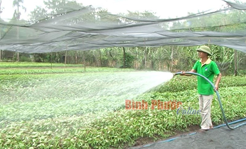 Lộc Ninh: Khơi dậy tinh thần đoàn kết, tự chủ trong nhân dân